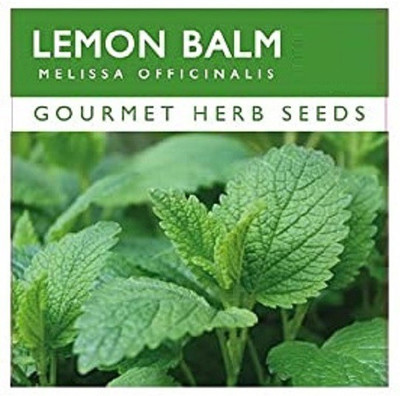 CYBEXIS Organic Lemon Balm Seeds400 Seeds Seed(400 per packet)