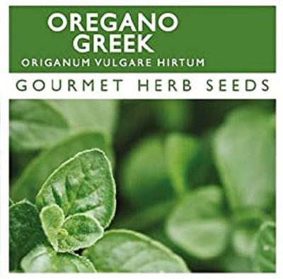 CYBEXIS Organic Oregano Seeds2800 Seeds Seed(2800 per packet)