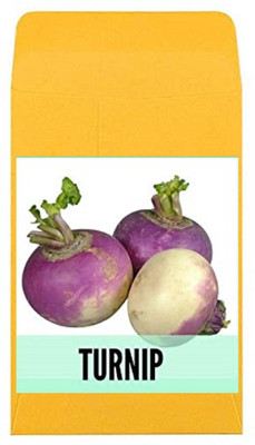 CYBEXIS Guarenteed Germination Turnip Seeds2000 Seeds Seed(2000 per packet)