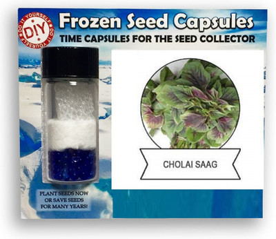 CYBEXIS Cholai Saag Amaranthus1400 Seeds Seed(1400 per packet)