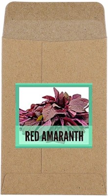 CYBEXIS Hybrid Red Amaranth Seeds4000 Seeds Seed(4000 per packet)