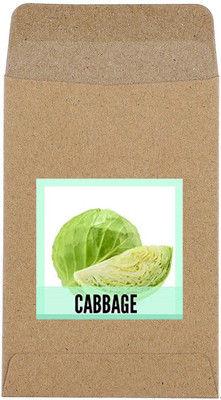 CYBEXIS Hybrid Cabbage Seeds2000 Seeds Seed(2000 per packet)