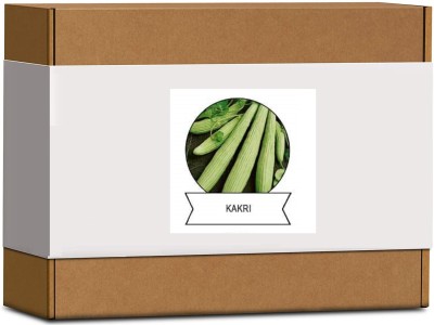 CYBEXIS Organic Kakri,Long Melon Seeds2000 Seeds Seed(2000 per packet)