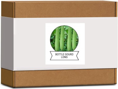 CYBEXIS Organic Bottle Gourd Long Seeds400 Seeds Seed(400 per packet)