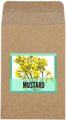 CYBEXIS Hybrid Mustard Seeds2000 Seeds Seed(2000 per packet)