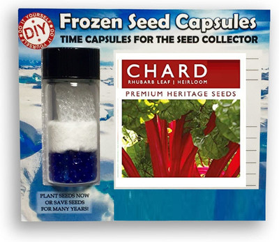 CYBEXIS Chard Rhubarb Leaf700 Seeds Seed(700 per packet)
