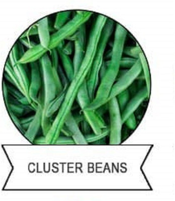CYBEXIS F1 Hybrid Clusters Beans Seeds-100 Seeds Seed(100 per packet)