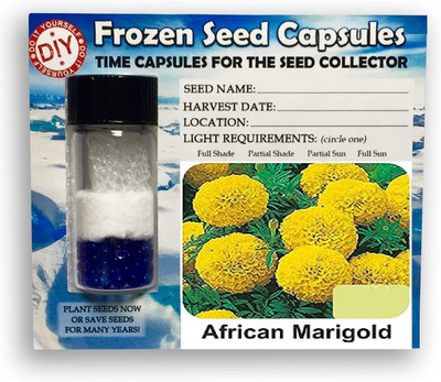 CYBEXIS African Marigold400 Seeds Seed(400 per packet)