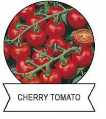 CYBEXIS F1 Hybrid Cherry Tomato Seeds2000 Seeds Seed(2000 per packet)