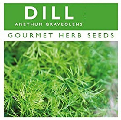 CYBEXIS Organic Dill Seeds700 Seeds Seed(700 per packet)