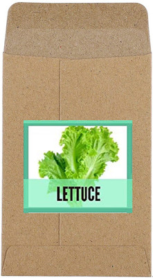 CYBEXIS Hybrid Lettuce Seeds1000 Seeds Seed(1000 per packet)