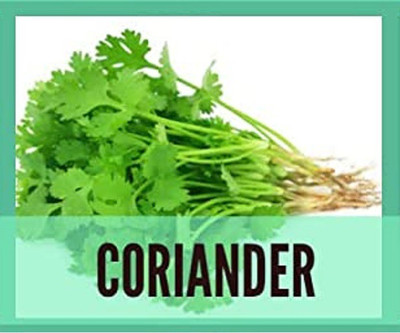 CYBEXIS Organic Coriander Seed(2800 per packet)