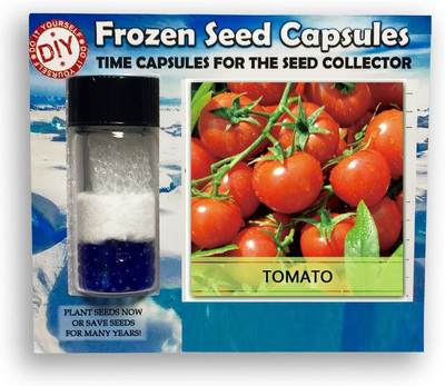 Qualtivate ® Tomato Frozen Seeds Time Capsule(100 Seeds) Seed(100 per packet)