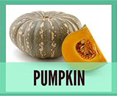 CYBEXIS Organic Pumpkin Seeds400 Seeds Seed(400 per packet)