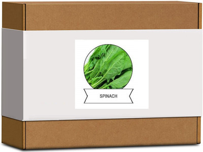 CYBEXIS Organic Spinach Seeds2000 Seeds Seed(2000 per packet)