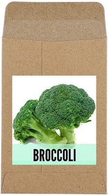 CYBEXIS Hybrid Green Broccoli Seeds2000 Seeds Seed(2000 per packet)