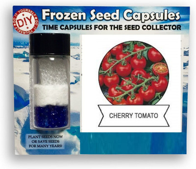 CYBEXIS Red Cherry Tomato1000 Seeds Seed(1000 per packet)