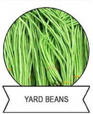 CYBEXIS F1 Hybrid Yard Long Beans Seeds400 Seeds Seed(400 per packet)