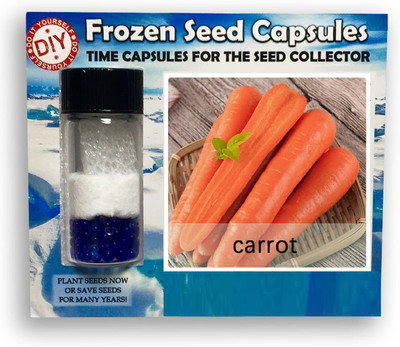 CYBEXIS Sweet Carrot2000 Seeds Seed(2000 per packet)