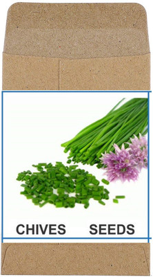 CYBEXIS Heirloom Chives Seeds1400 Seeds Seed(1400 per packet)