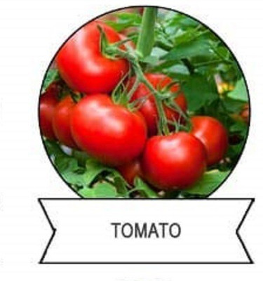 CYBEXIS F1 Hybrid Tomato Seeds2000 Seeds Seed(2000 per packet)