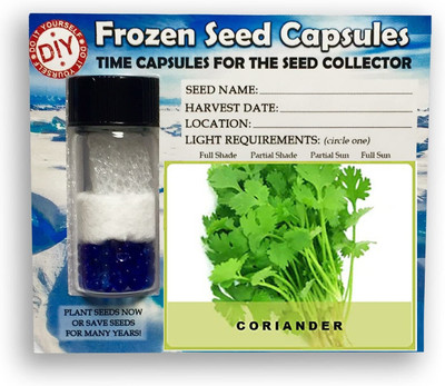 CYBEXIS Coriander Multicut2800 Seeds Seed(2800 per packet)
