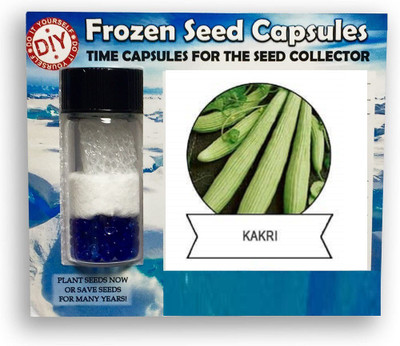 CYBEXIS Long Melon,Kakri2000 Seeds Seed(2000 per packet)