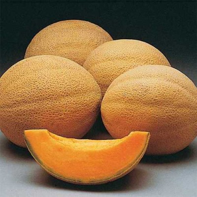 PLANTZON MuskMelon Seed(10 per packet)