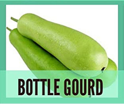 CYBEXIS Guarenteed Germination Bottle Gourd Seeds400 Seeds Seed(400 per packet)