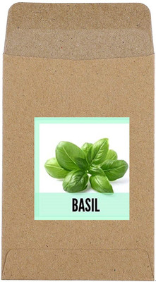 CYBEXIS Hybrid Sweet Basil Seeds2000 Seeds Seed(2000 per packet)