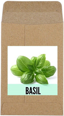 CYBEXIS Hybrid Geovanese Basil Seeds1000 Seeds Seed(1000 per packet)