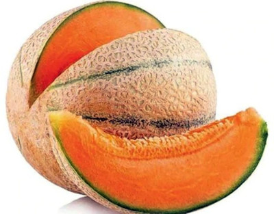Paudha MuskMelon Hybrid Seed(60 per packet)