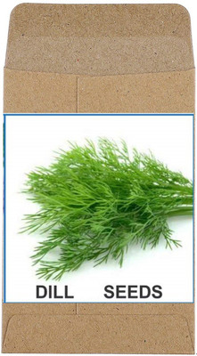 CYBEXIS Heirloom Dill Seeds1400 Seeds Seed(1400 per packet)