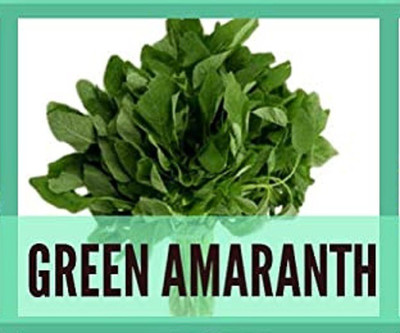 CYBEXIS Organic Green Amaranth Seeds2000 Seeds Seed(2000 per packet)