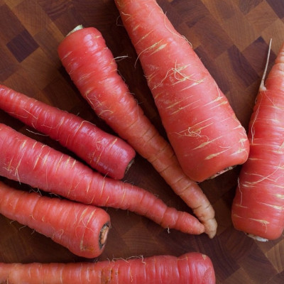 LYRS Lal Gajar Carrot Seed Seed(110 per packet)
