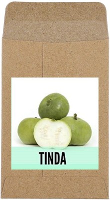 CYBEXIS Hybrid Tinda,Round Gourd Seeds200 Seeds Seed(200 per packet)