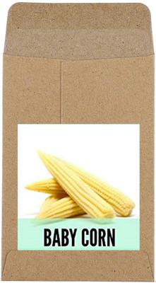 CYBEXIS Hybrid Baby Corn Seeds2000 Seeds Seed(2000 per packet)