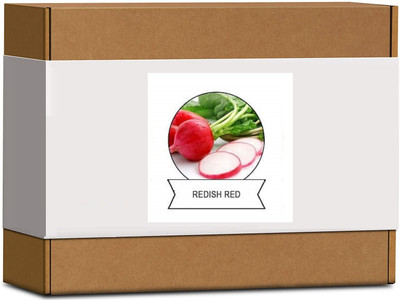 CYBEXIS Organic Redish Red Seeds2000 Seeds Seed(2000 per packet)