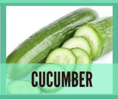 Qualtivate ™ Organic Cucumber Seeds(250 Seeds) Seed(250 per packet)