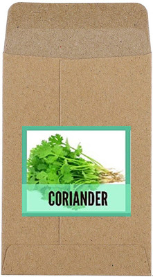CYBEXIS Hybrid Coriander,Dhania Seeds2800 Seeds Seed(2800 per packet)