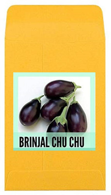CYBEXIS Guarenteed Germination Brinjal Chu Chu Seeds2400 Seeds Seed(2400 per packet)