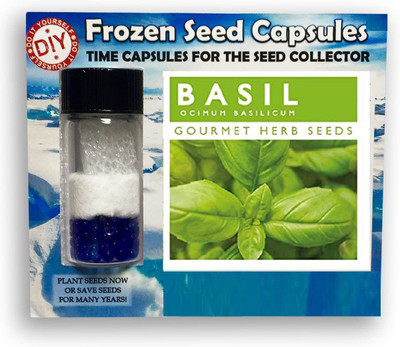 CYBEXIS Lemon Basil1000 Seeds Seed(1000 per packet)