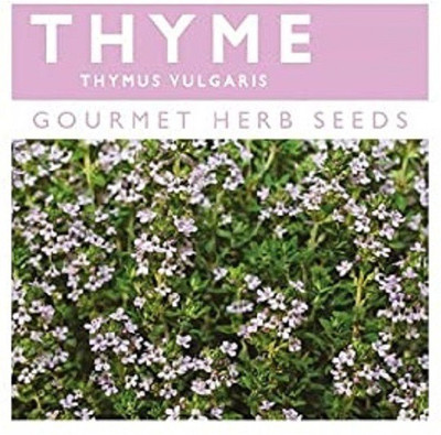 CYBEXIS Organic Thyme Seeds800 Seeds Seed(800 per packet)