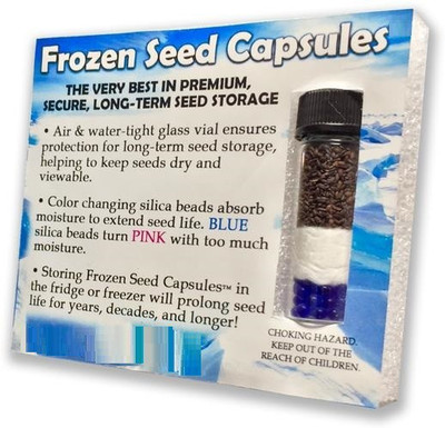 CYBEXIS Carrot (Autumn King) seeds2000 Seeds Seed(2000 per packet)