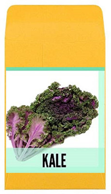 CYBEXIS Guarenteed Germination Kale Seeds2000 Seeds Seed(2000 per packet)