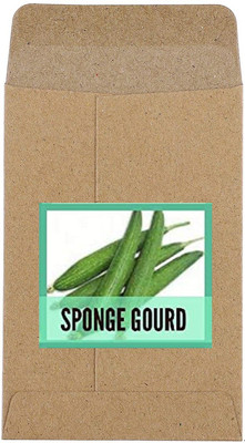 CYBEXIS Hybrid Sponge Gourd Seeds-100 Seeds Seed(100 per packet)