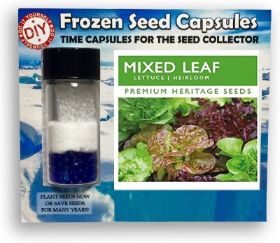 CYBEXIS Mixed Leaf Lettuce2000 Seeds Seed(2000 per packet)