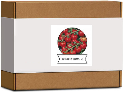 CYBEXIS Organic Cherry Tomato Seeds2000 Seeds Seed(2000 per packet)