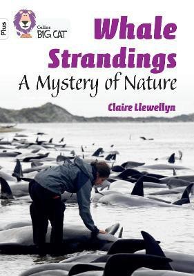 Whale Strandings: A Mystery of Nature(English, Paperback, Llewellyn Claire)