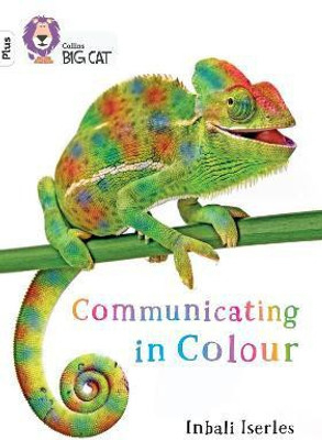 Communicating in Colour(English, Paperback, Iserles Inbali)